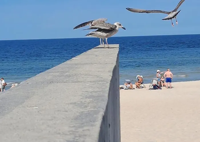 Morska Przystan - Meeresparadies Nadmorskie Tarasy D 217 * Kolobrzeg